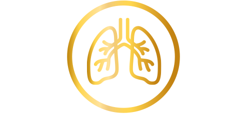 sabias