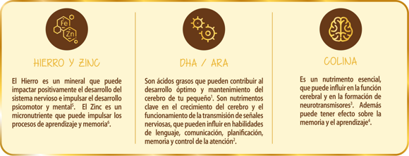 Componentes Excella Gold
