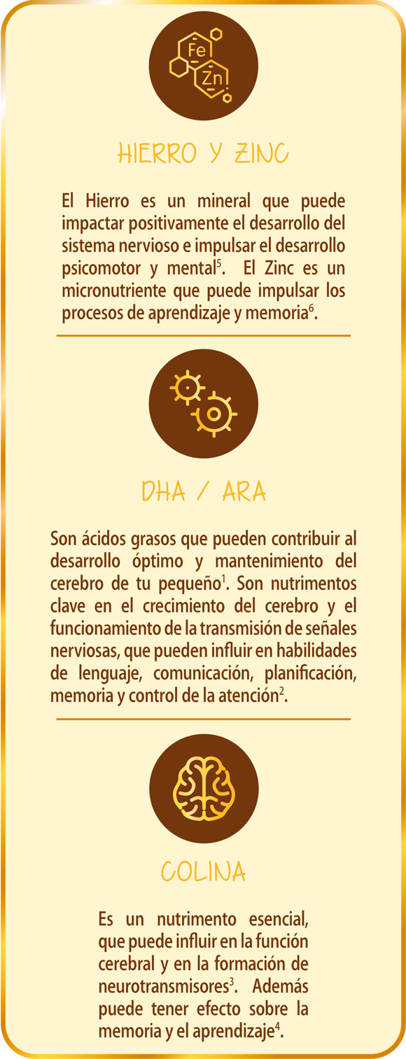 Componentes Excella Gold